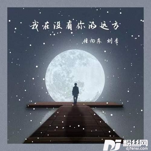 我在没有你的远方