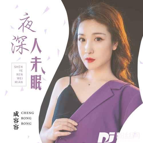 夜深人未眠DJ版