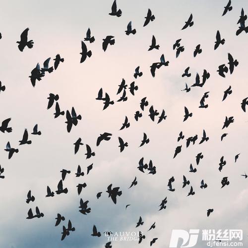 TheBridge的专辑