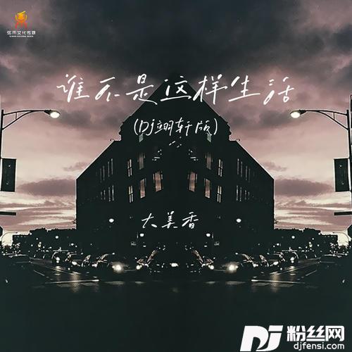 谁不是这样生活Dj翊轩版