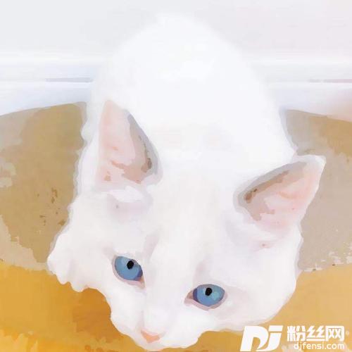 画一个星星一个你