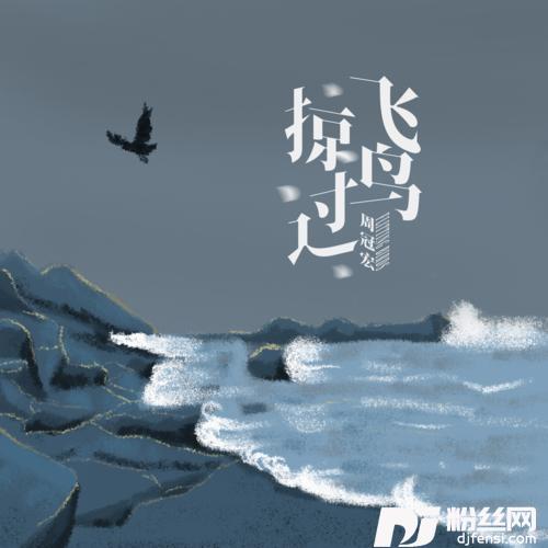 飞鸟掠过