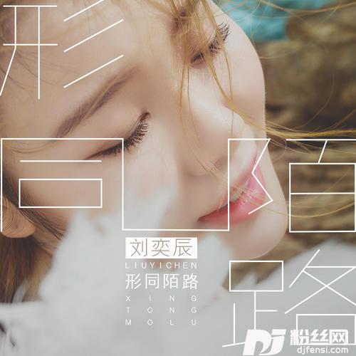形同陌路DJ版
