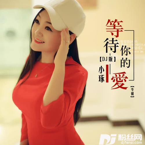 等待你的爱DJ版