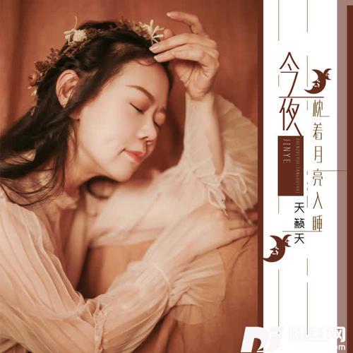 今夜枕着月亮入睡DJ凯圣版