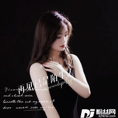 再见已是陌生人（女版）