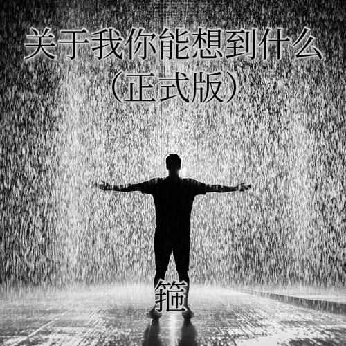 关于我你能想到什么正式版的专辑