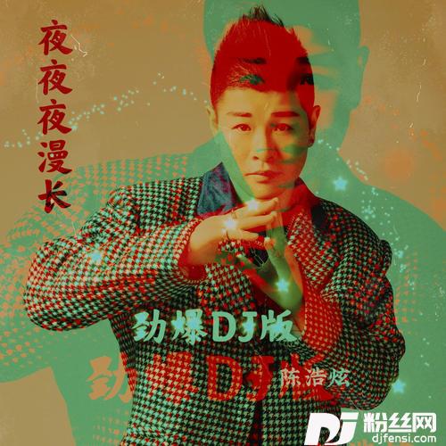 夜夜夜漫长抖音DJ版