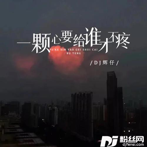 一颗心要给谁才不疼