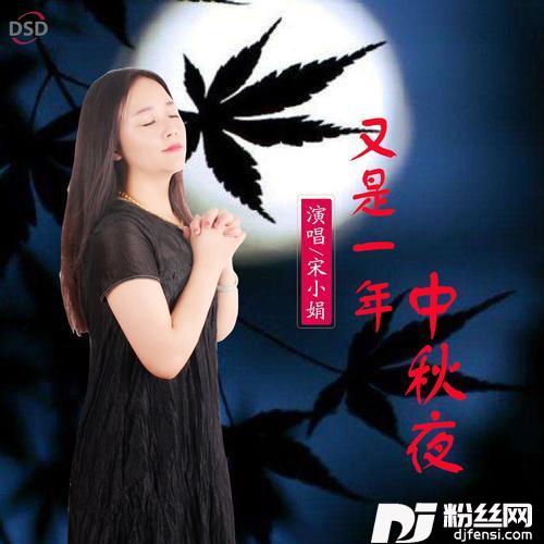 又是一年中秋夜的专辑