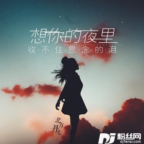 想你的夜里收不住思念的泪