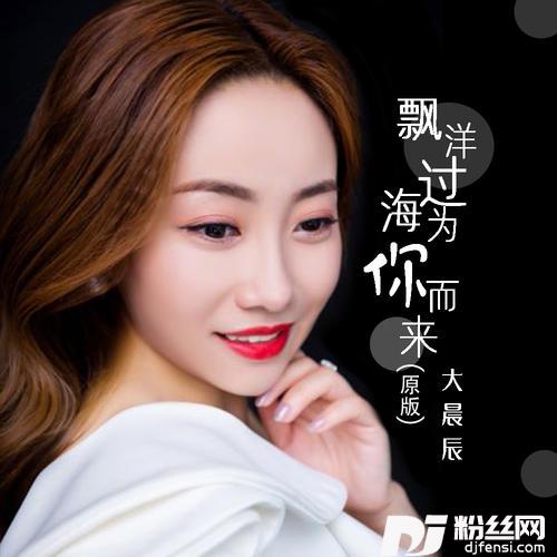 飘洋过海为你而来原版
