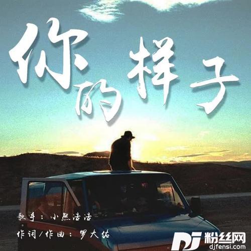 你的样子（DJ京仔版）