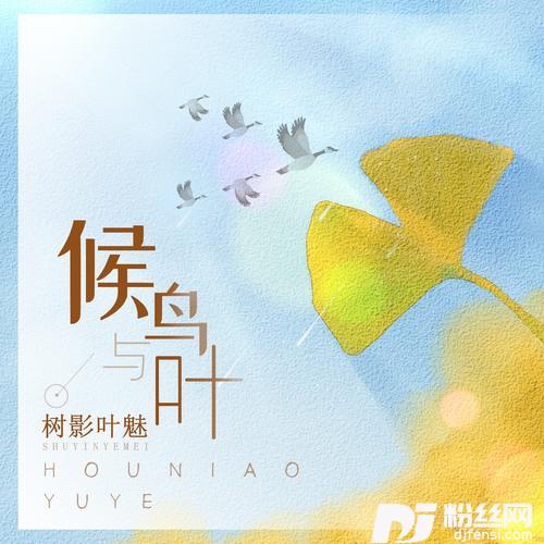 候鸟与叶