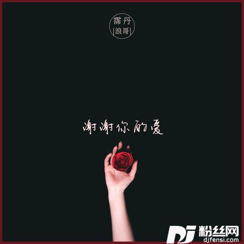 谢谢你的爱的专辑