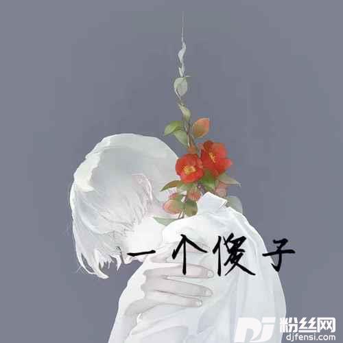 一个傻子