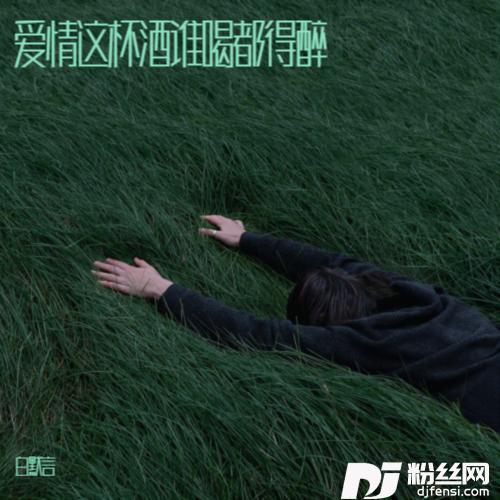 爱情这杯酒谁喝都得醉cover:张朋娜