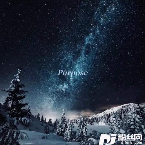 Purposecover:JustinBieber