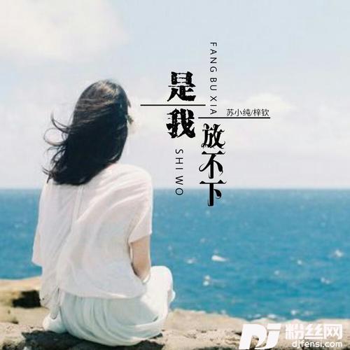 是我放不下