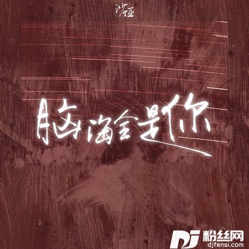 脑海全是你的专辑