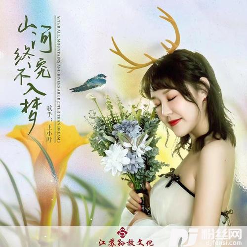 山河终究不入梦DJ版