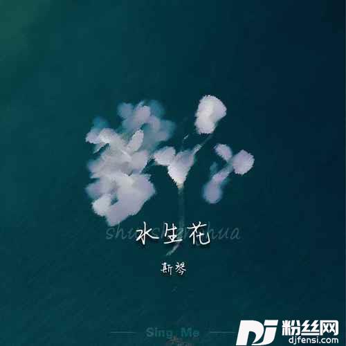 水生花的专辑