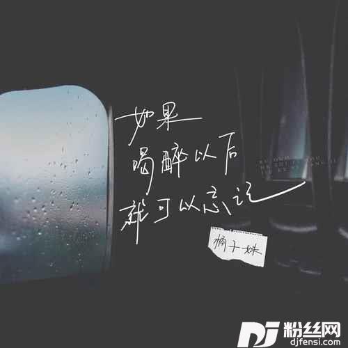 如果喝醉以后就可以忘记的专辑