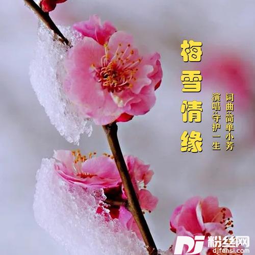 梅雪情缘的专辑