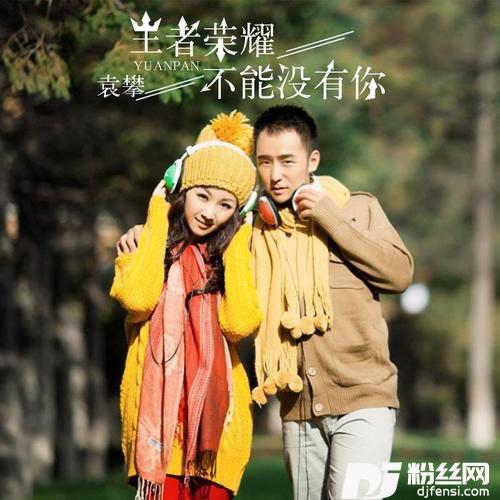 王者荣耀不能没有你的专辑