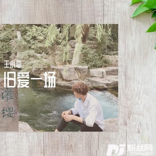 旧爱一场