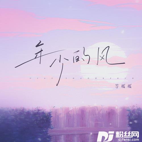 年少的风男版的专辑