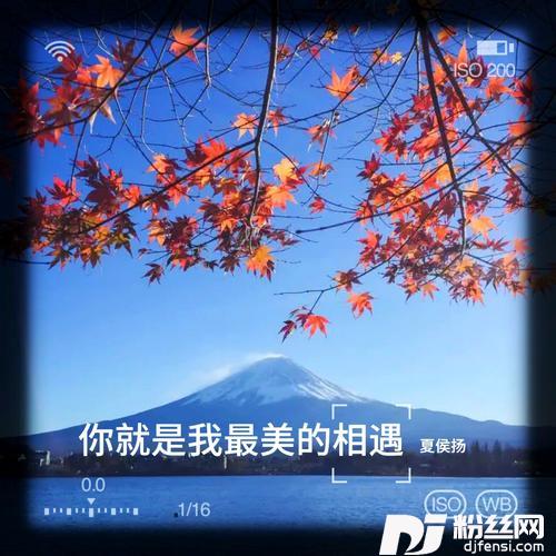 你就是我最美的相遇