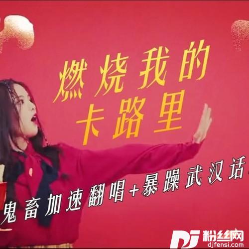 卡路里加速鬼畜+暴躁武汉话rap版的专辑