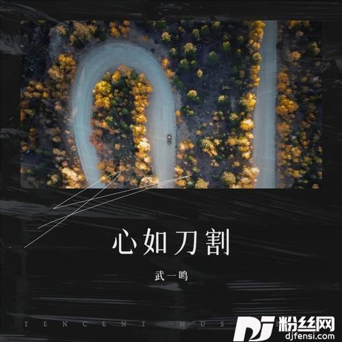 心如刀割cover:张学友