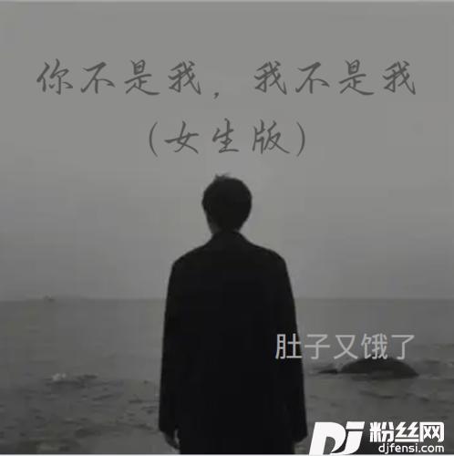 你不是我，我不是我女生版的专辑