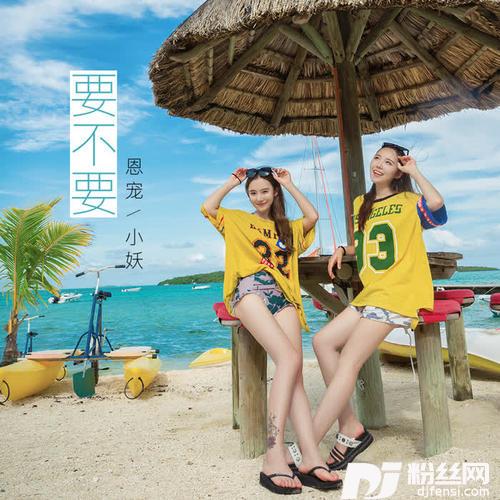 要不要的专辑