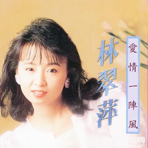 爱情一阵风的专辑