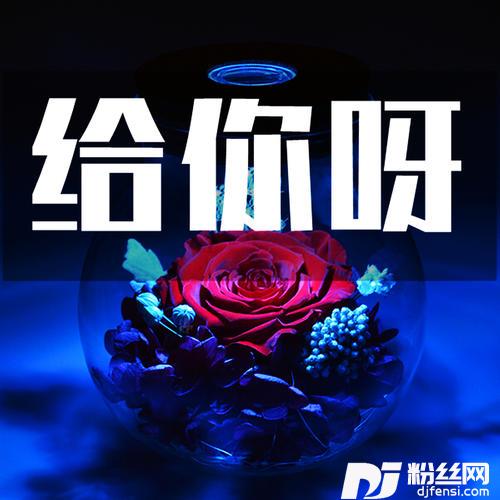 给你呀的专辑