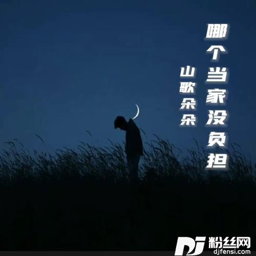 哪个当家没有负担的专辑