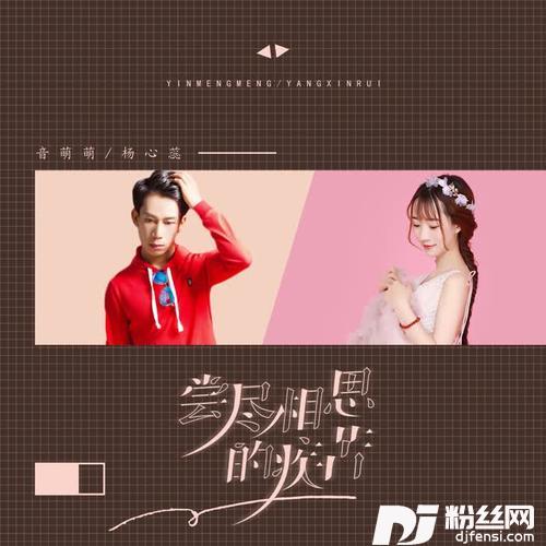 尝尽相思的疾苦（DJ可乐版）