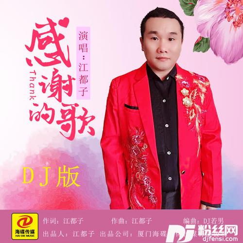 感谢的歌DJ若男版