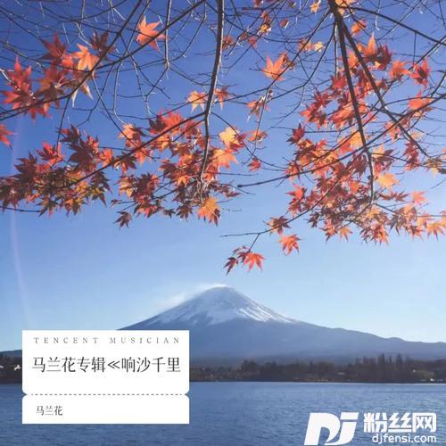 疯疯疯cover:吴道圆