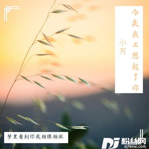 今夜我又想起了你
