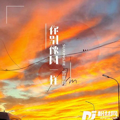 你别像风一样