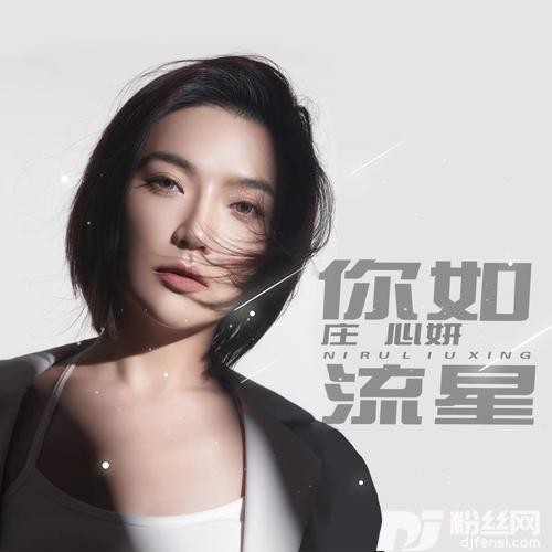 你如流星DJ阿远版