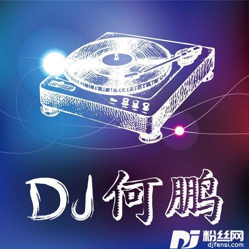 自由自在DJ版