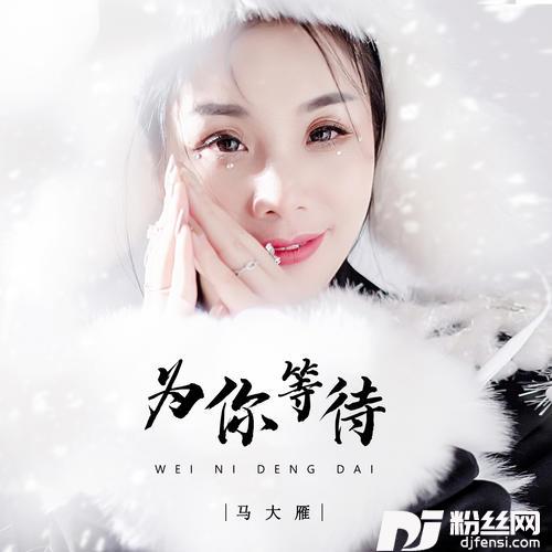 为你等待DJ小蒋版