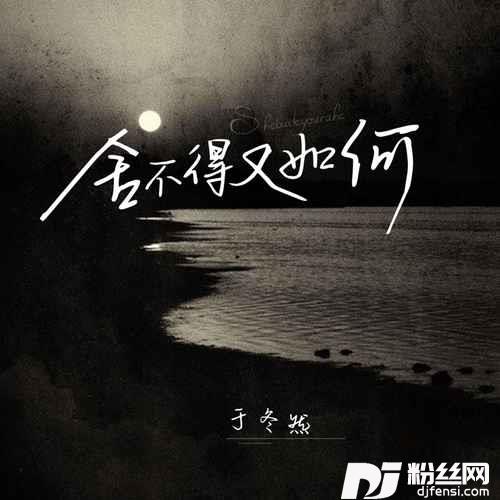 舍不得又如何