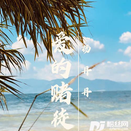 爱的赌徒