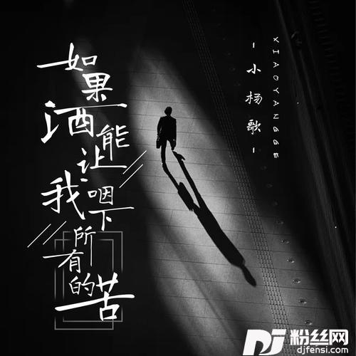 如果酒能让我咽下所有的苦